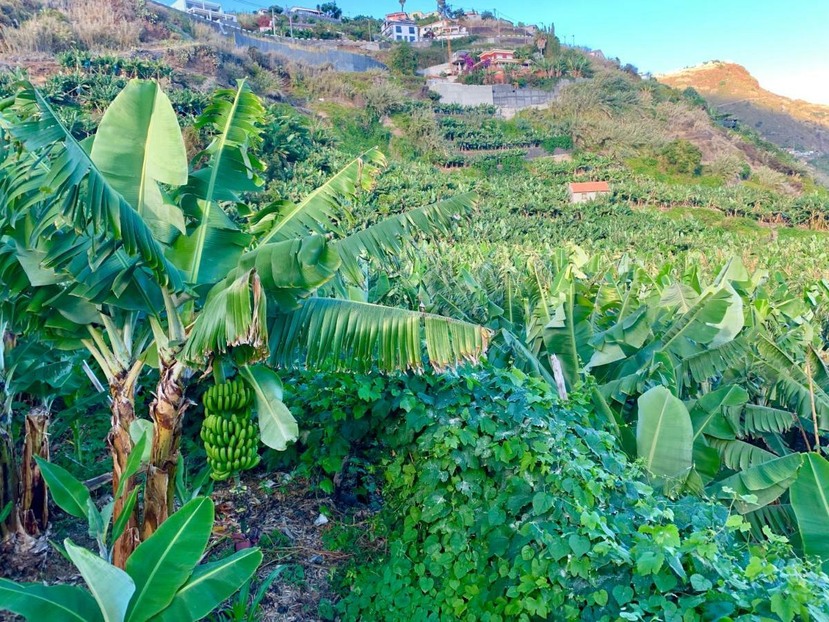 Villa Felicidade Arco da Calheta Kültér fotó